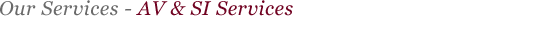 AV & SI Services